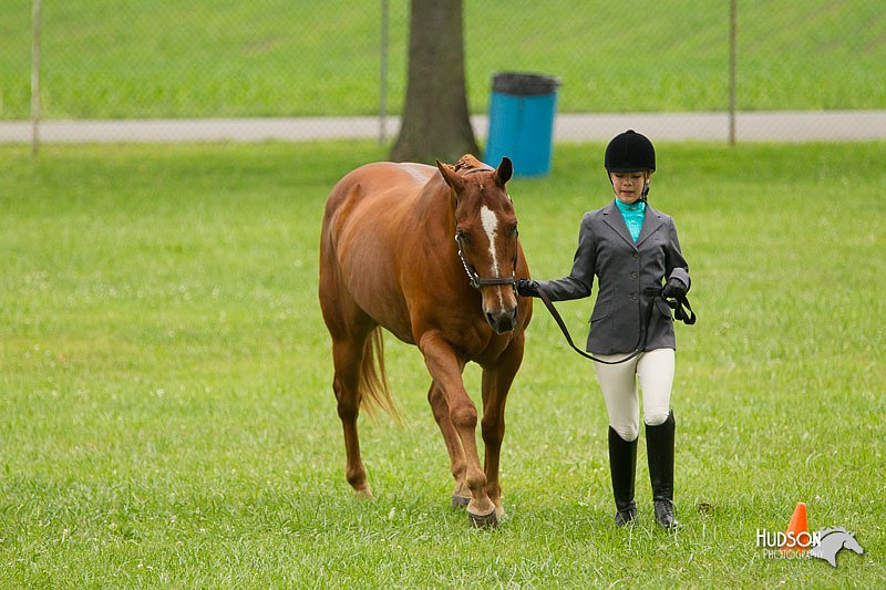 4H-1st-Show-11_0745.jpg