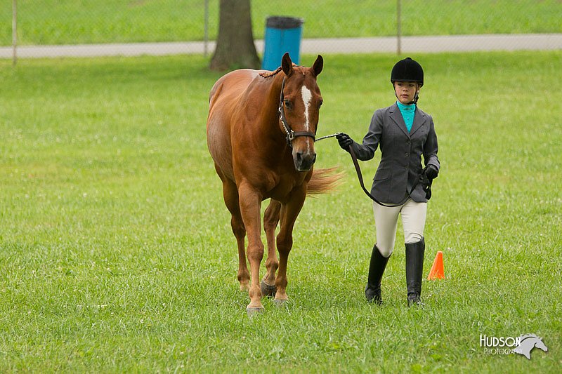 4H-1st-Show-11_0746.jpg