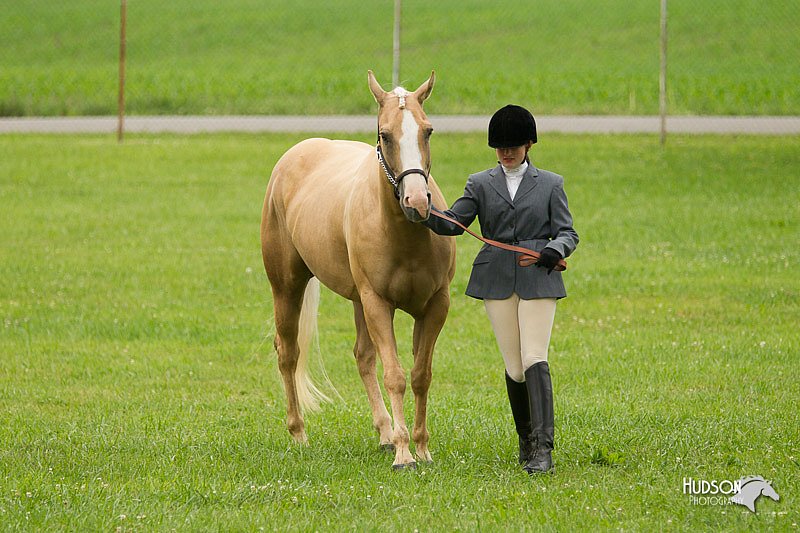 4H-1st-Show-11_0750.jpg