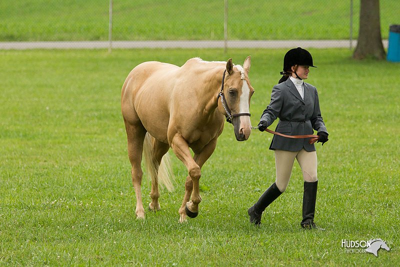 4H-1st-Show-11_0751.jpg