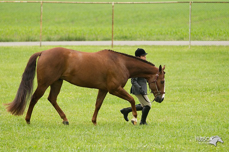 4H-1st-Show-11_0752.jpg