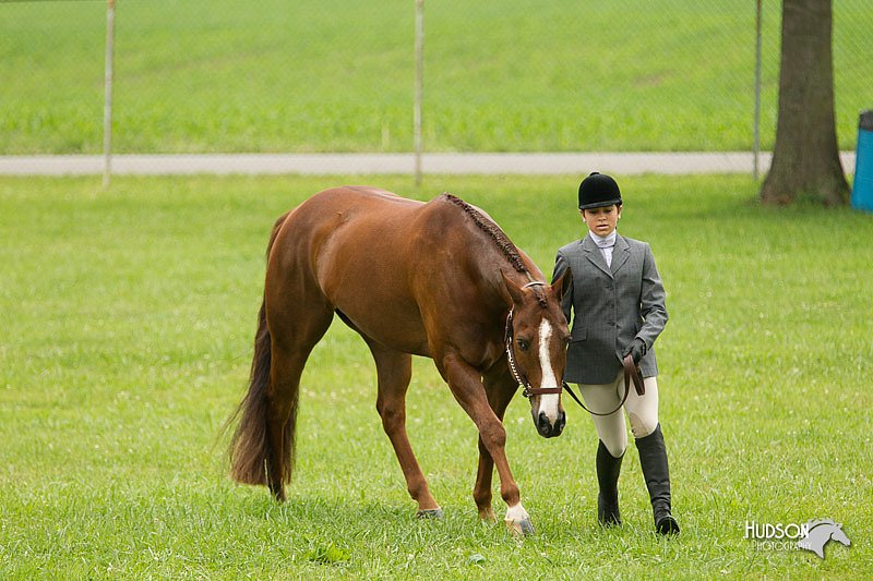 4H-1st-Show-11_0753.jpg