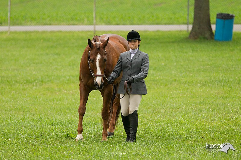 4H-1st-Show-11_0754.jpg