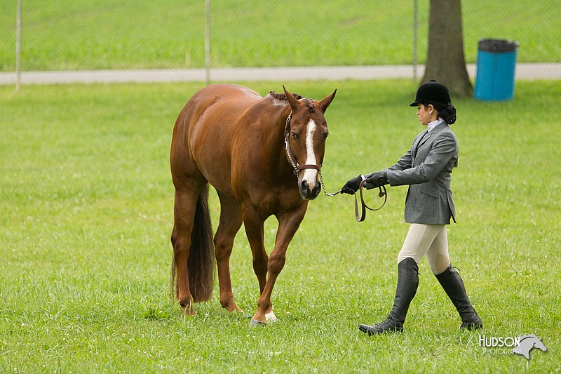 4H-1st-Show-11_0755.jpg