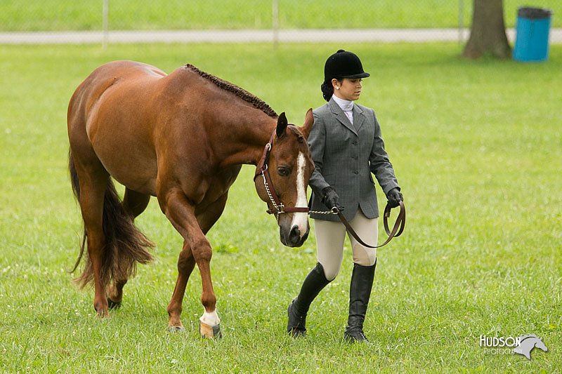 4H-1st-Show-11_0757.jpg