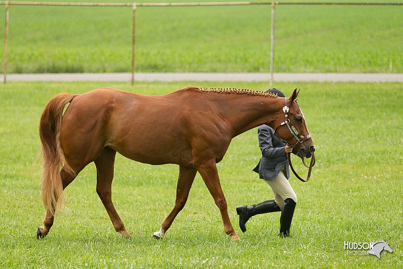 4H-1st-Show-11_0759.jpg