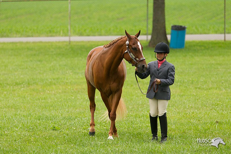 4H-1st-Show-11_0761.jpg