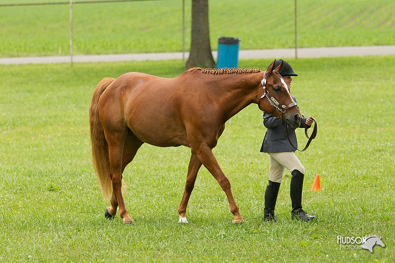 4H-1st-Show-11_0762.jpg