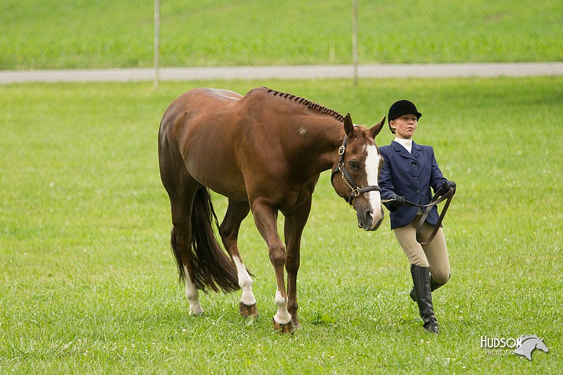 4H-1st-Show-11_0765.jpg