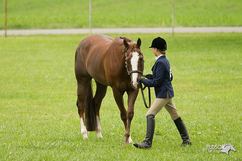 4H-1st-Show-11_0766.jpg
