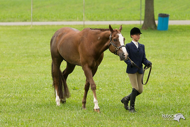 4H-1st-Show-11_0768.jpg