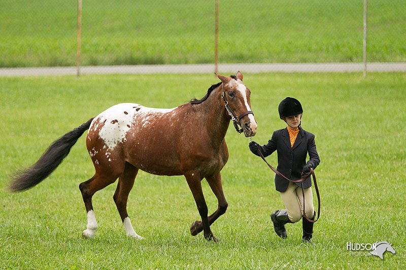 4H-1st-Show-11_0770.jpg