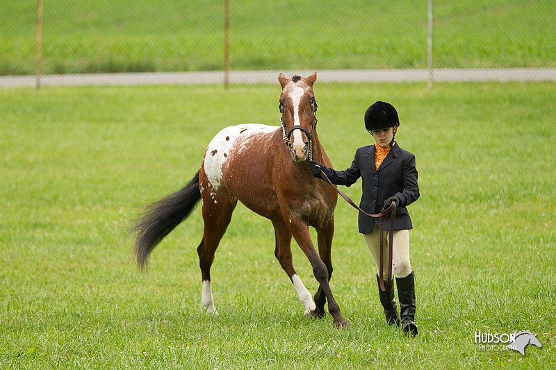 4H-1st-Show-11_0771.jpg