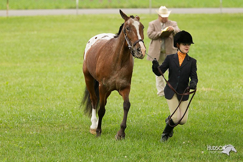 4H-1st-Show-11_0773.jpg