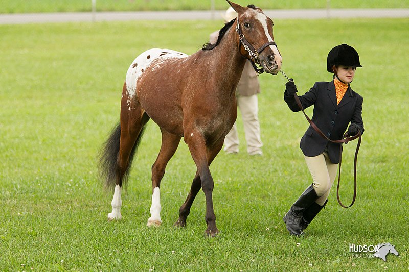 4H-1st-Show-11_0774.jpg