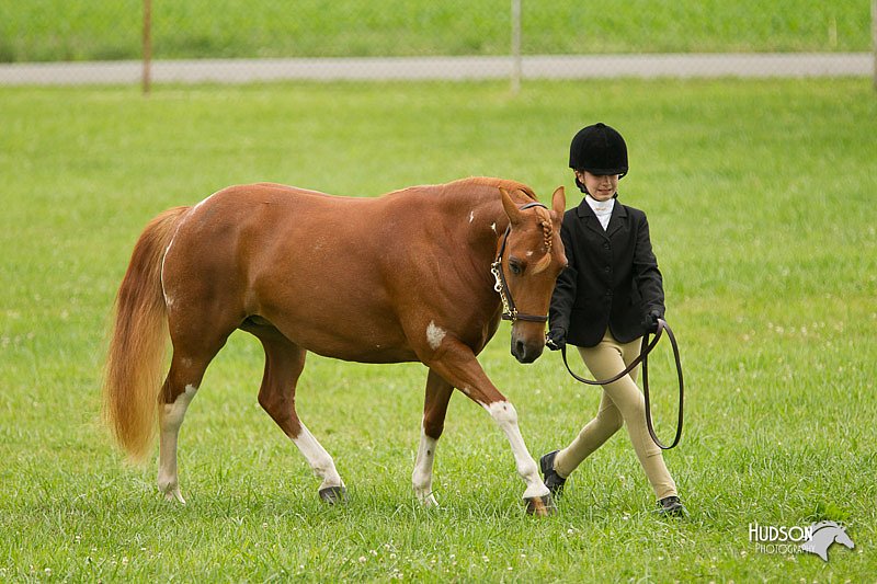 4H-1st-Show-11_0777.jpg