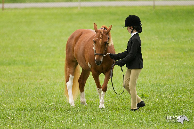 4H-1st-Show-11_0778.jpg
