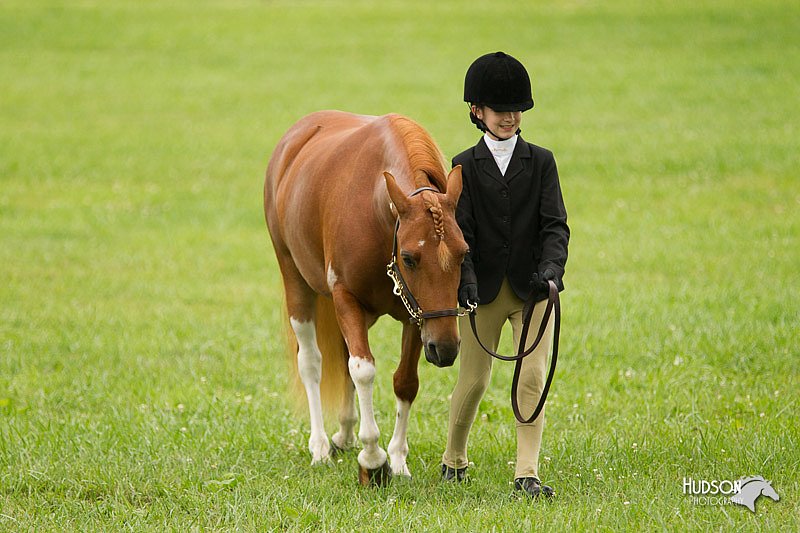 4H-1st-Show-11_0779.jpg