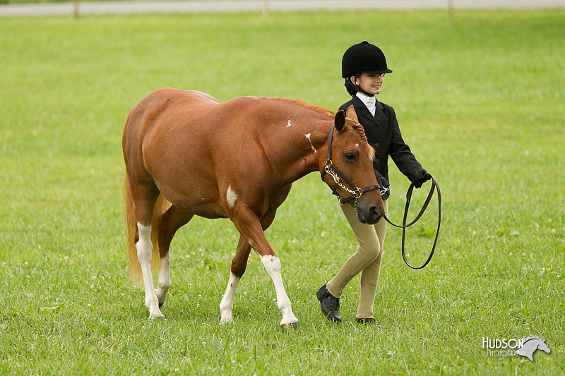 4H-1st-Show-11_0780.jpg