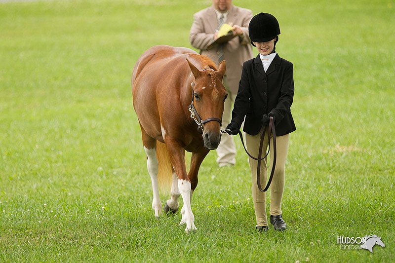 4H-1st-Show-11_0782.jpg
