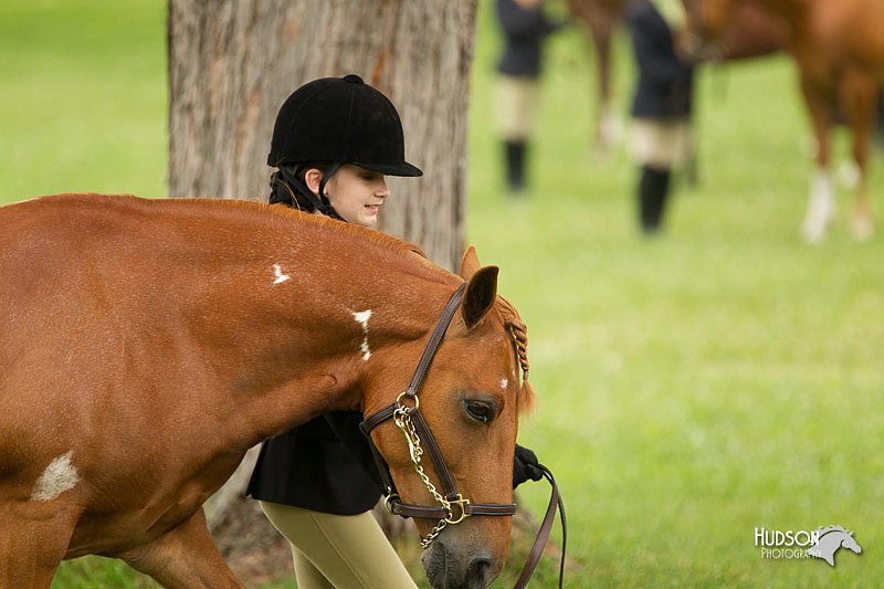4H-1st-Show-11_0784.jpg