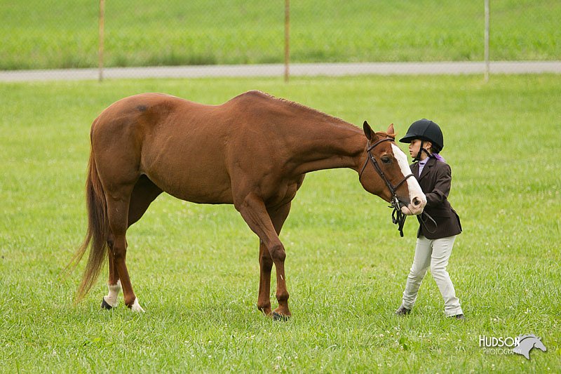 4H-1st-Show-11_0785.jpg