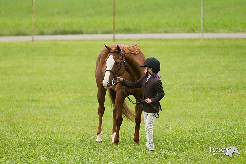 4H-1st-Show-11_0786.jpg