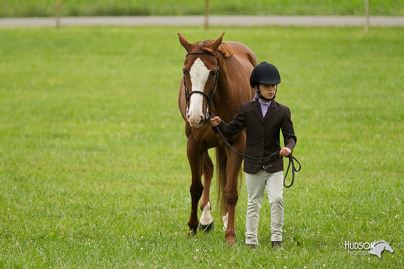 4H-1st-Show-11_0787.jpg