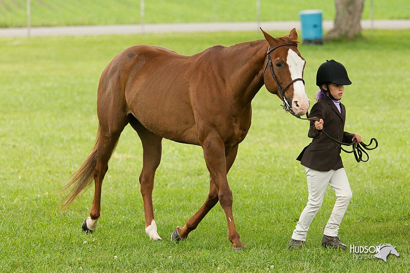 4H-1st-Show-11_0790.jpg