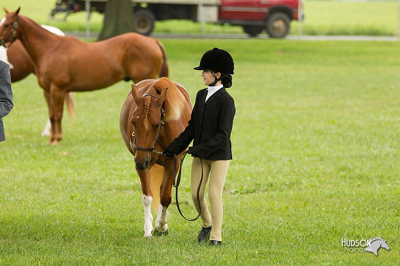 4H-1st-Show-11_0792.jpg