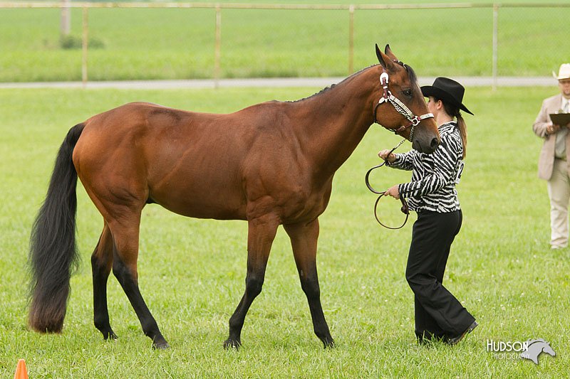 4H-1st-Show-11_0795.jpg