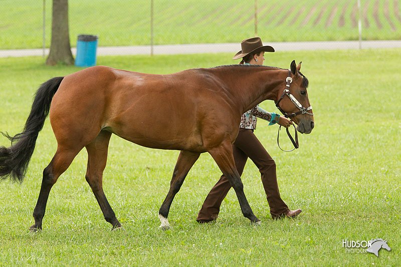 4H-1st-Show-11_0798.jpg