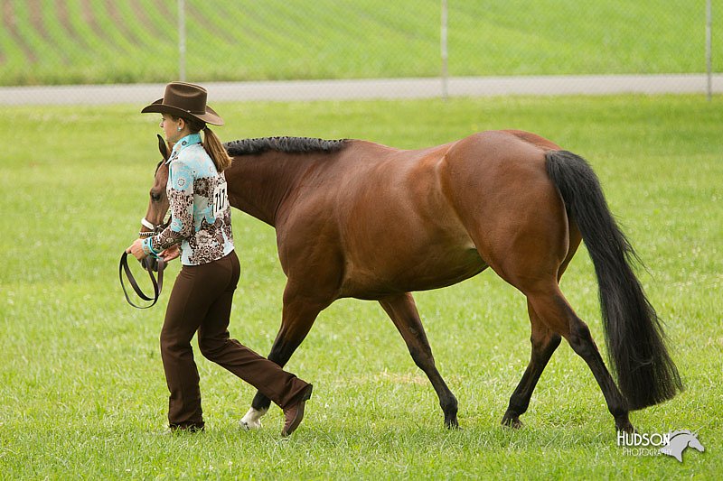 4H-1st-Show-11_0799.jpg