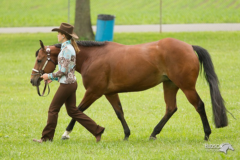 4H-1st-Show-11_0801.jpg