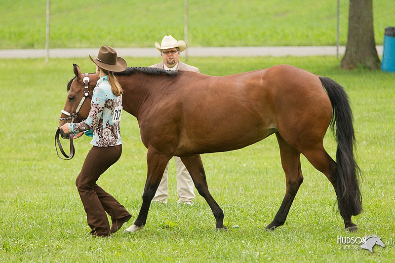 4H-1st-Show-11_0802.jpg
