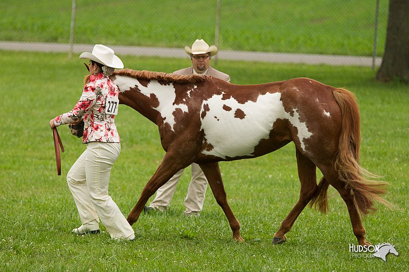 4H-1st-Show-11_0805.jpg