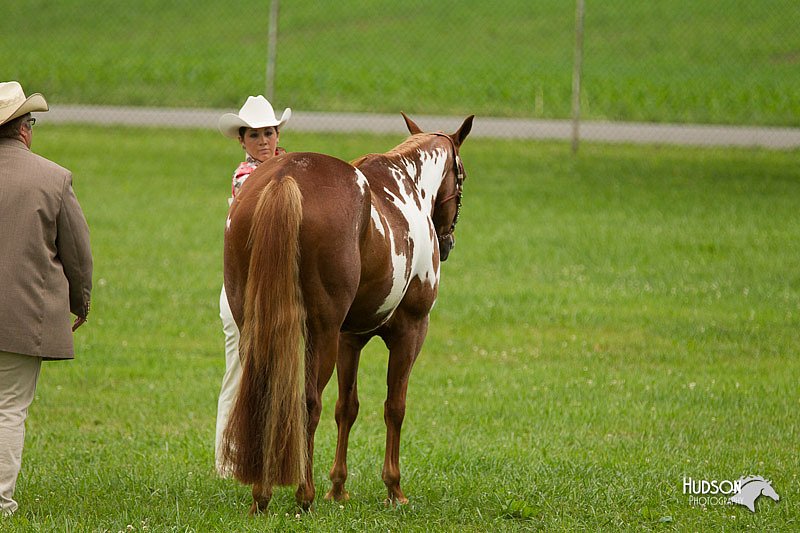 4H-1st-Show-11_0806.jpg
