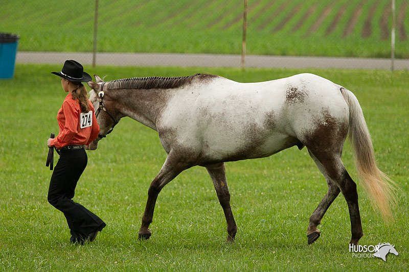 4H-1st-Show-11_0809.jpg