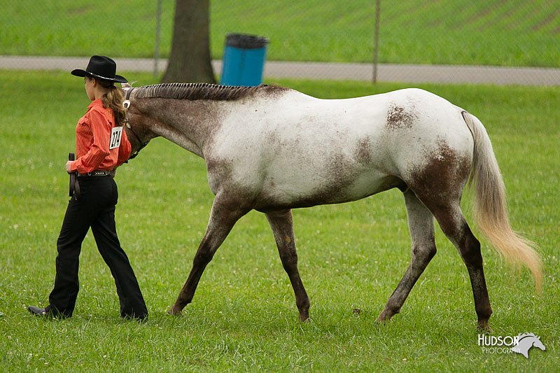 4H-1st-Show-11_0810.jpg