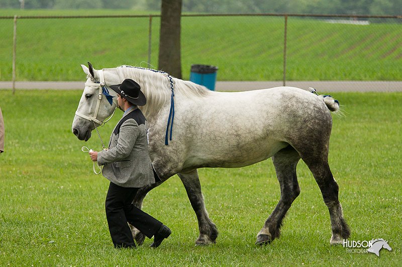 4H-1st-Show-11_0816.jpg