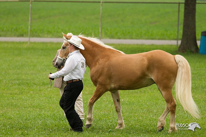 4H-1st-Show-11_0822.jpg