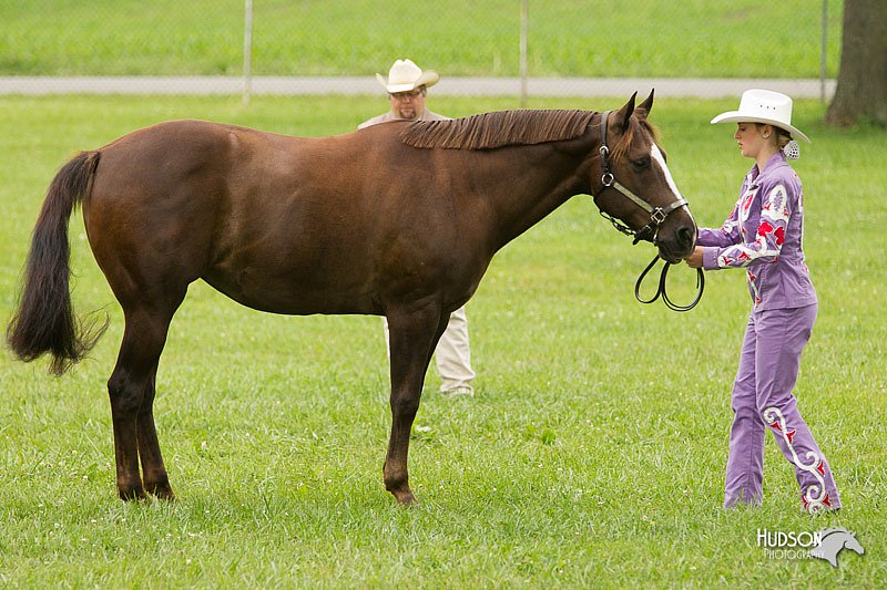 4H-1st-Show-11_0839.jpg