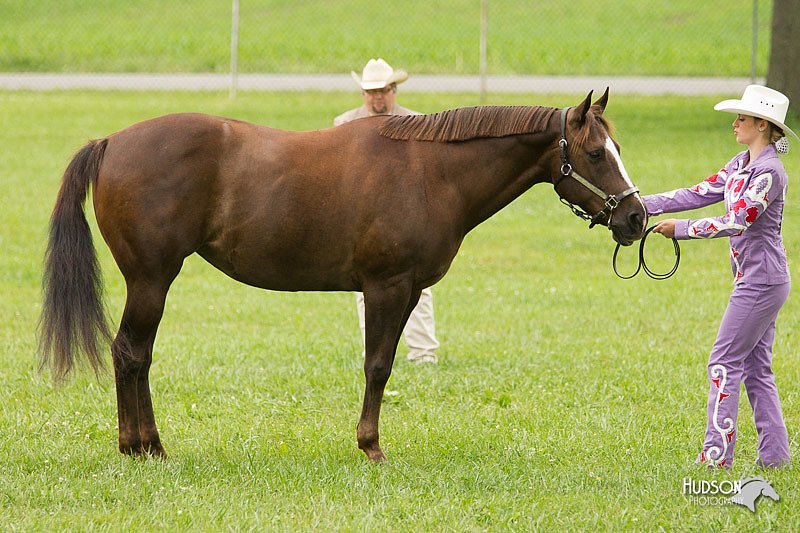 4H-1st-Show-11_0840.jpg