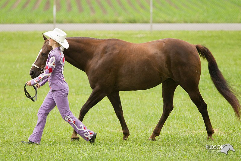 4H-1st-Show-11_0843.jpg