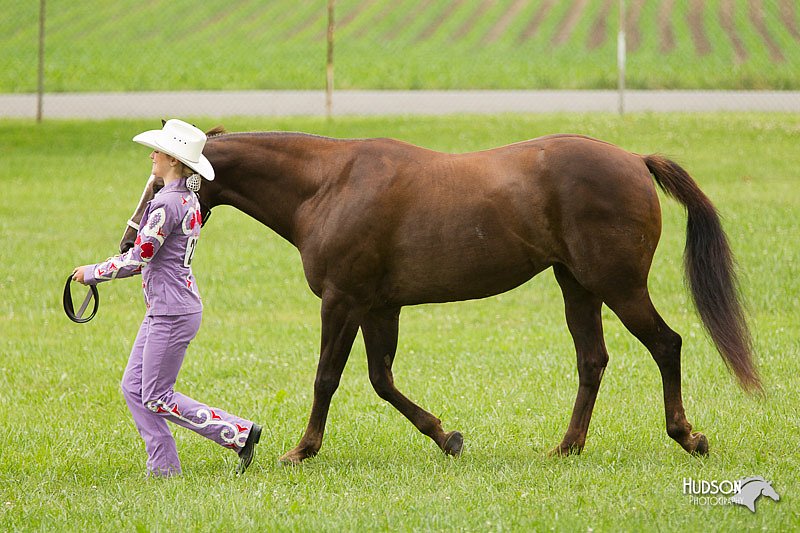 4H-1st-Show-11_0844.jpg
