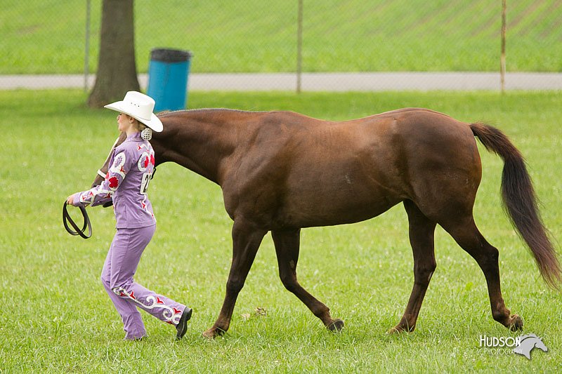 4H-1st-Show-11_0845.jpg