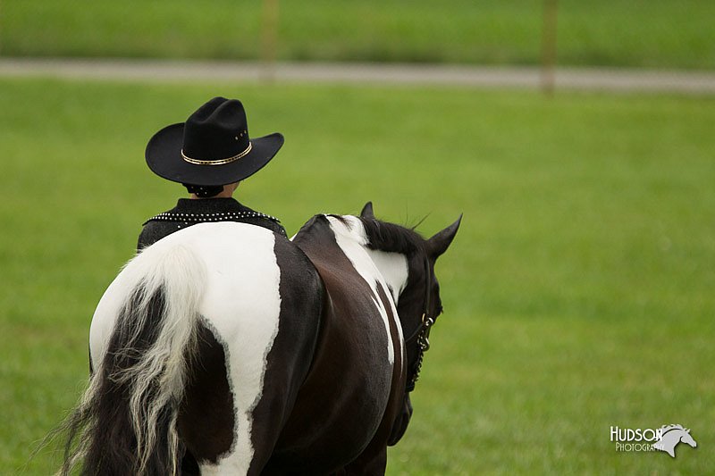 4H-1st-Show-11_0852.jpg