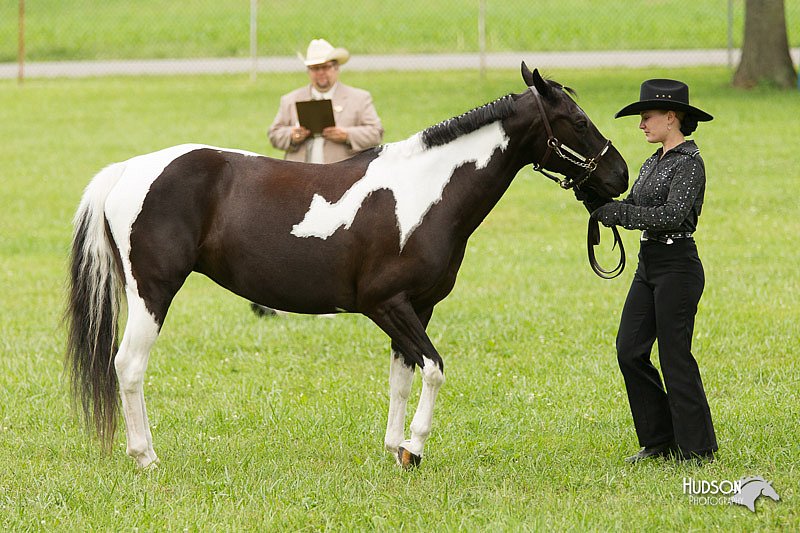 4H-1st-Show-11_0853.jpg