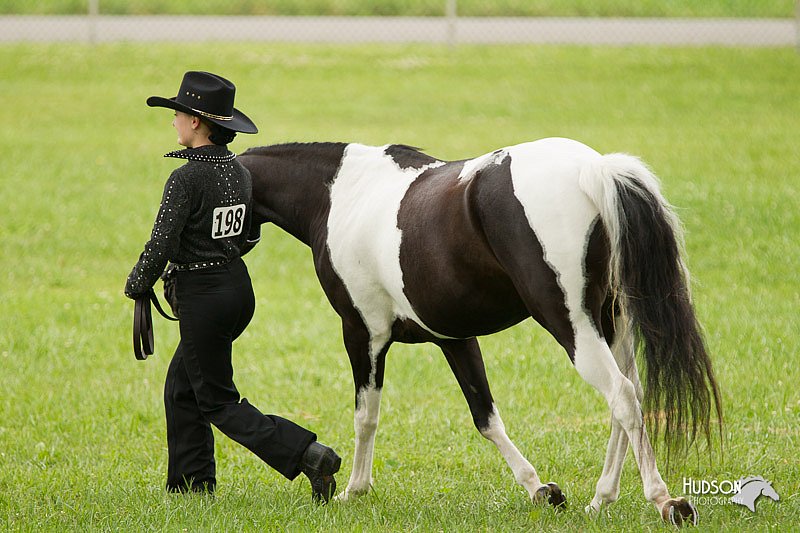 4H-1st-Show-11_0854.jpg