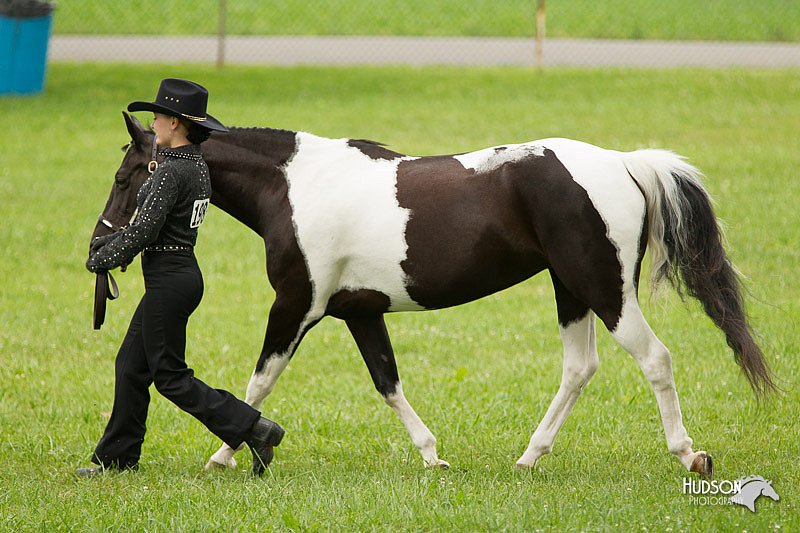 4H-1st-Show-11_0855.jpg